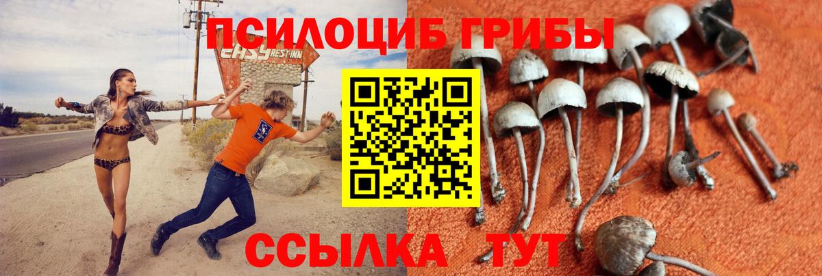 Псилоцибиновые грибы мухоморы Когалым